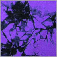 Neon Purple / Black
